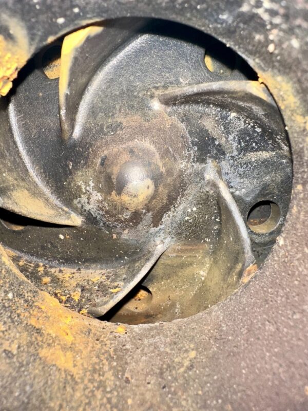 ITEM 2399-3:    20 HP GOULDS PUMP MODEL 3196 SIZE 2X3-13 - Image 5